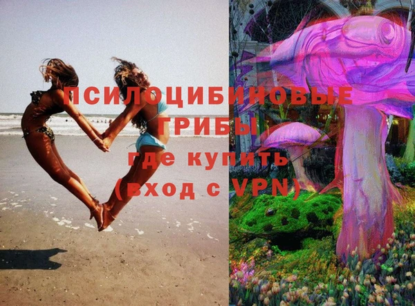 мескалин Вяземский