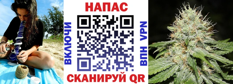 Шишки марихуана марихуана Чегем